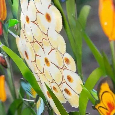 🔥School Season Hot Sale💐Colorful Metal 3-Panel Flower Garden Screen