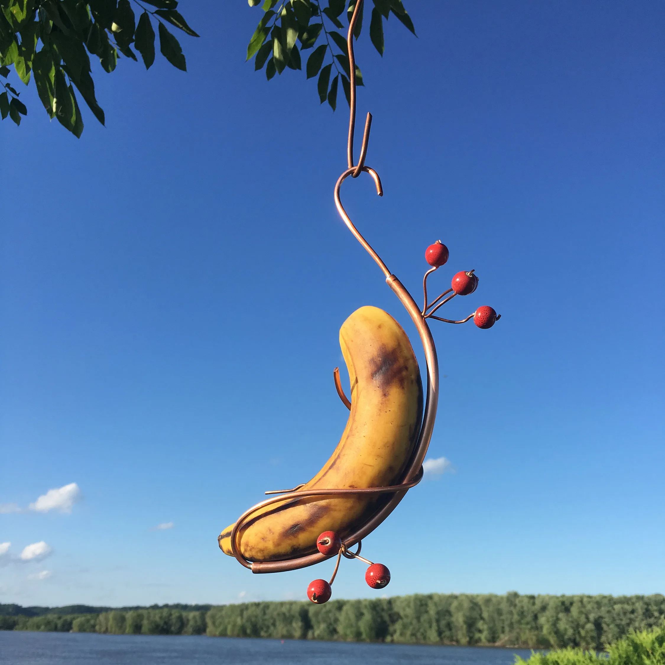 Butterfly Banana Hammock