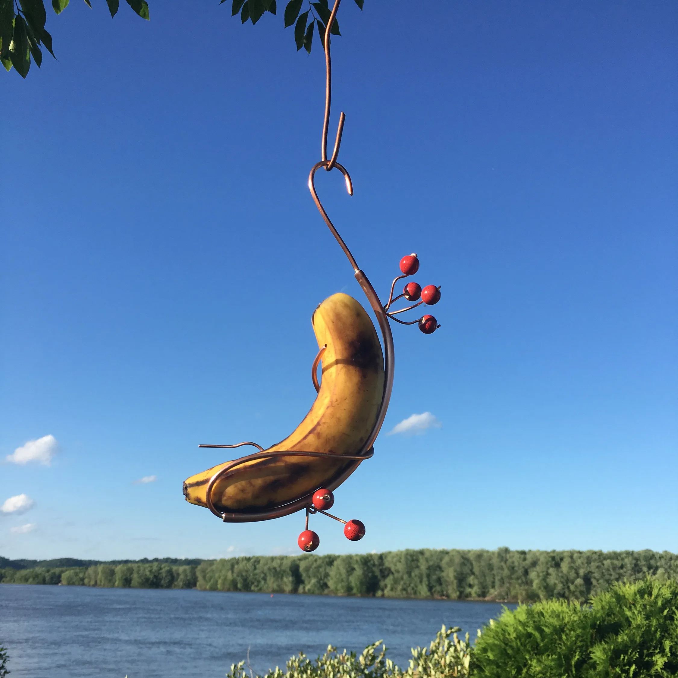 Butterfly Banana Hammock