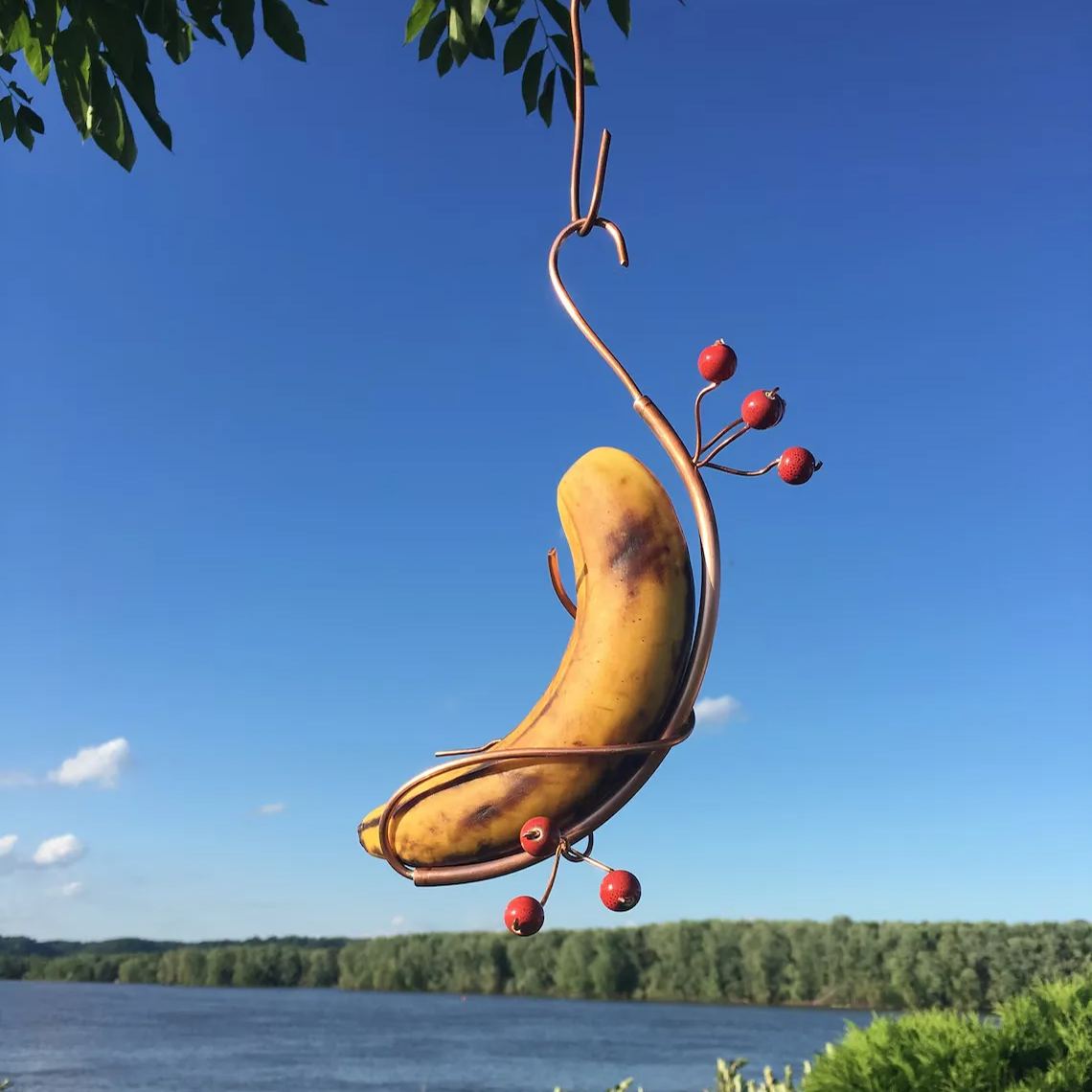 Butterfly Banana Hammock