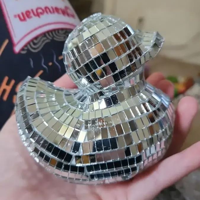 ✨🦆Charming Disco Mirror Duck