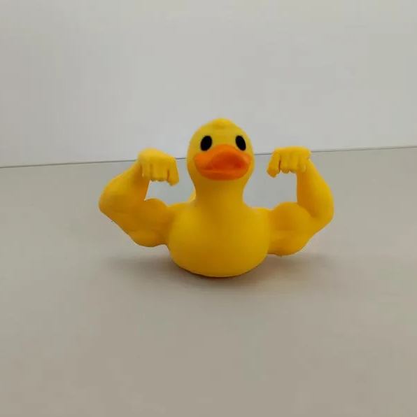 🦆Muscular arms Duck💪-Never skip arms day！