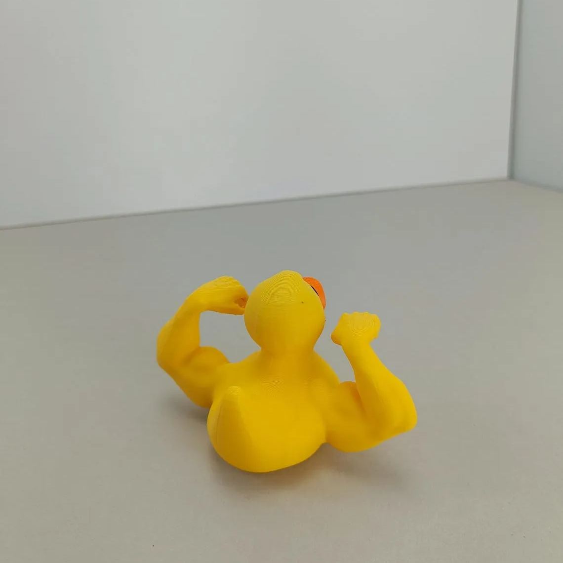 🦆Muscular arms Duck💪-Never skip arms day！