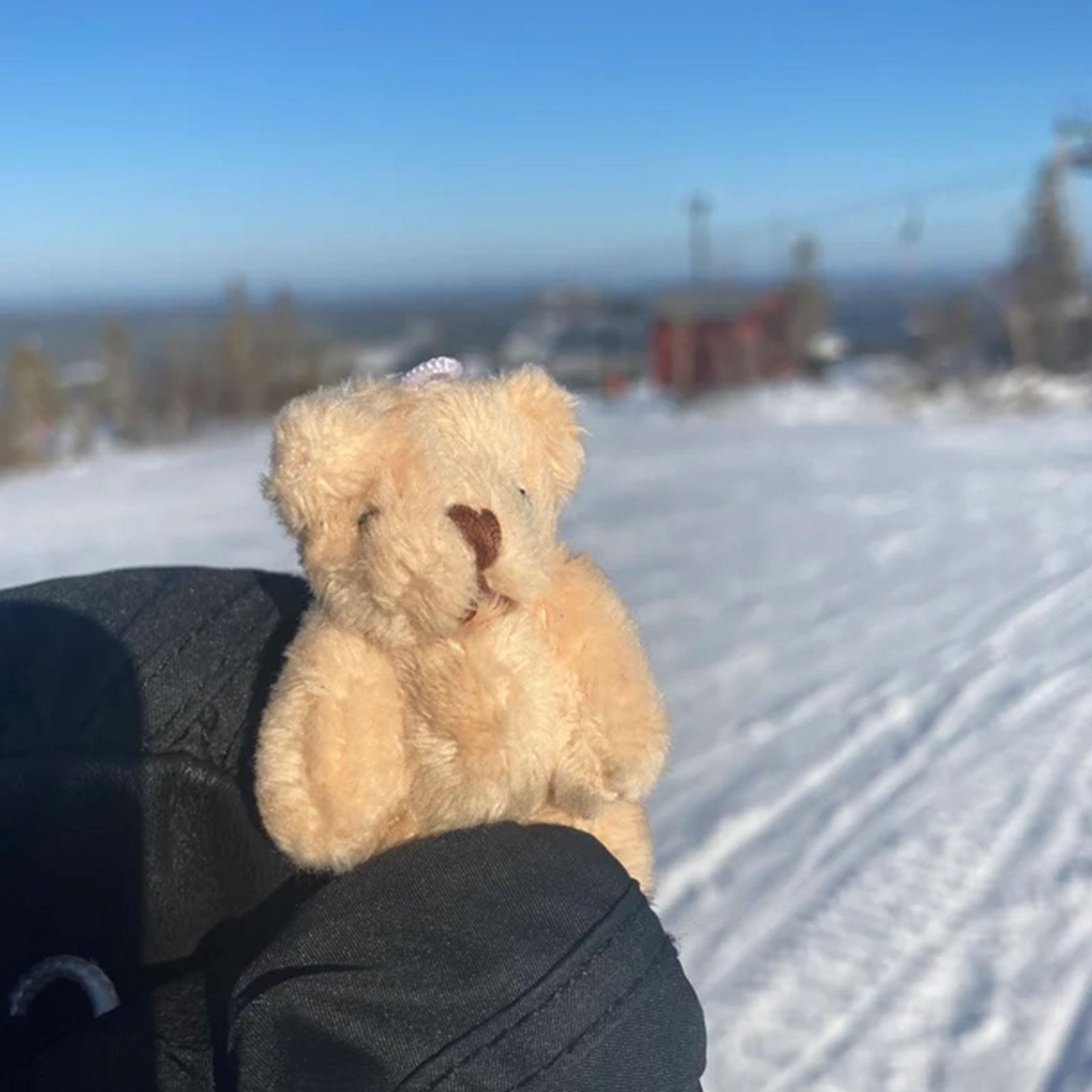 💗A Perfect and Touching Present 💟-A Little Pocket Bear Hug🧸