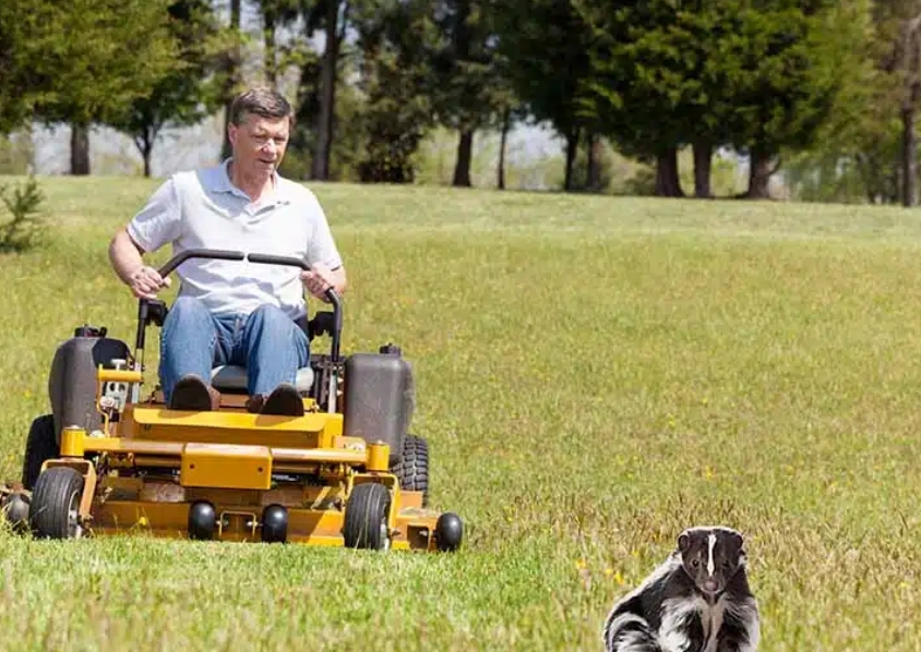 What are some common failures caused by rotational errors in track mowers?-GoGoMower