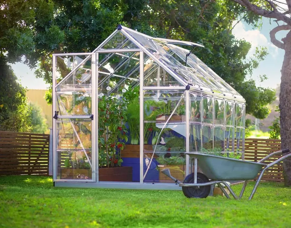 ⭐small Family Style Greenhouse Florist - 6 Ft. X 8 Ft.