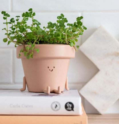 🌵Flowerpot, Wall-mounted Flowerpot, Smiley Resin Flowerpot