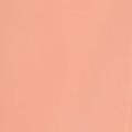 Debenhams_swatch