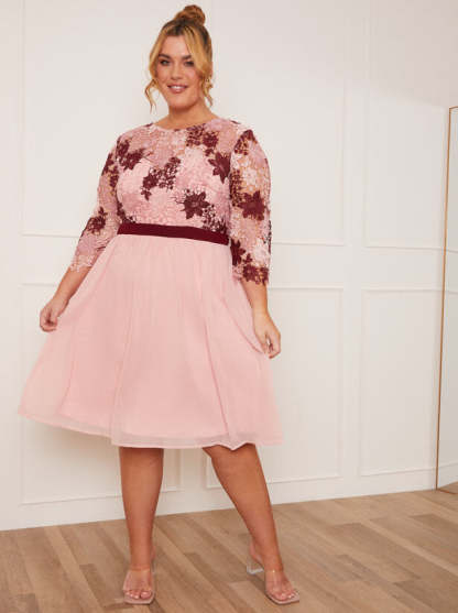 Plus Size Lace Crochet Bodice Midi Dress in Pink | Chi Chi London UK
