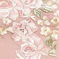Debenhams_swatch