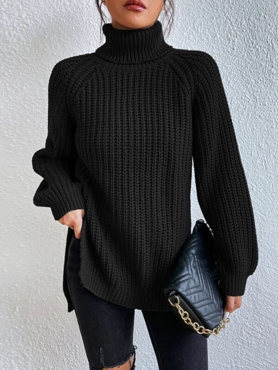 Turtleneck Knit Sweater