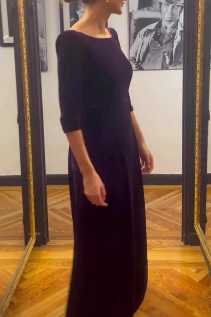 Vintage Elegant Velvet Gown Dress