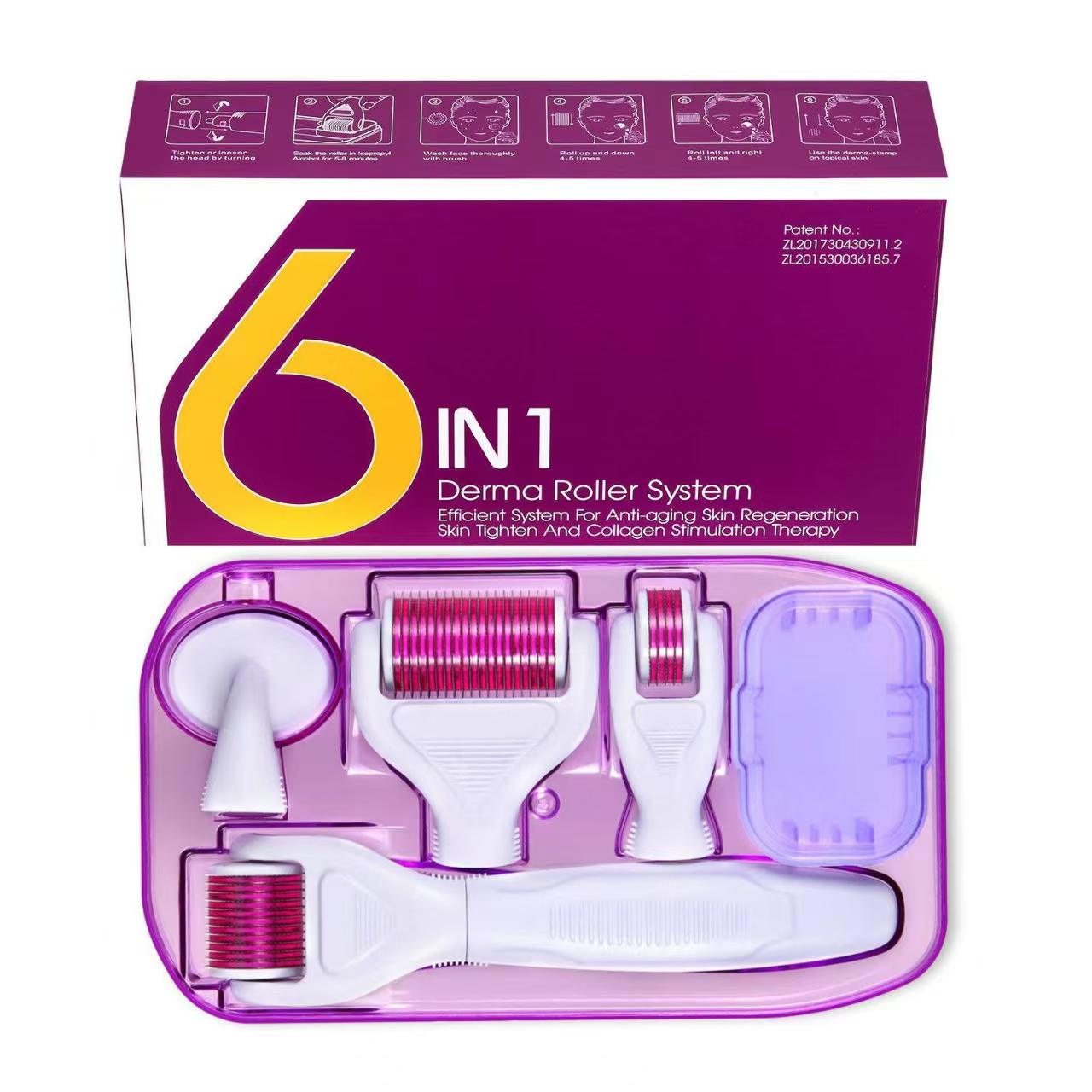 6-in-1 Interchangeable Derma Roller Skincare System 
