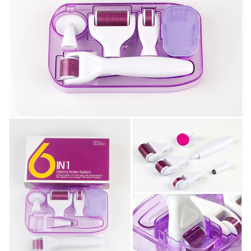 6-in-1 Interchangeable Derma Roller Skincare System