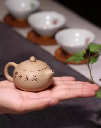 Yixing purely handmade Zisha teapots, single pot,mini Xishi teapot 80cc