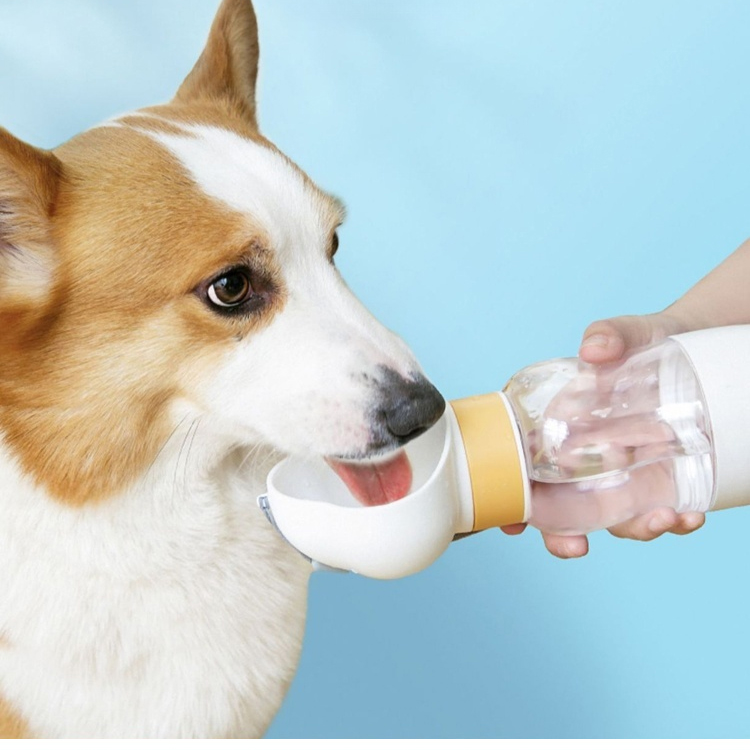 Tragbare Haustier Begleitbecher