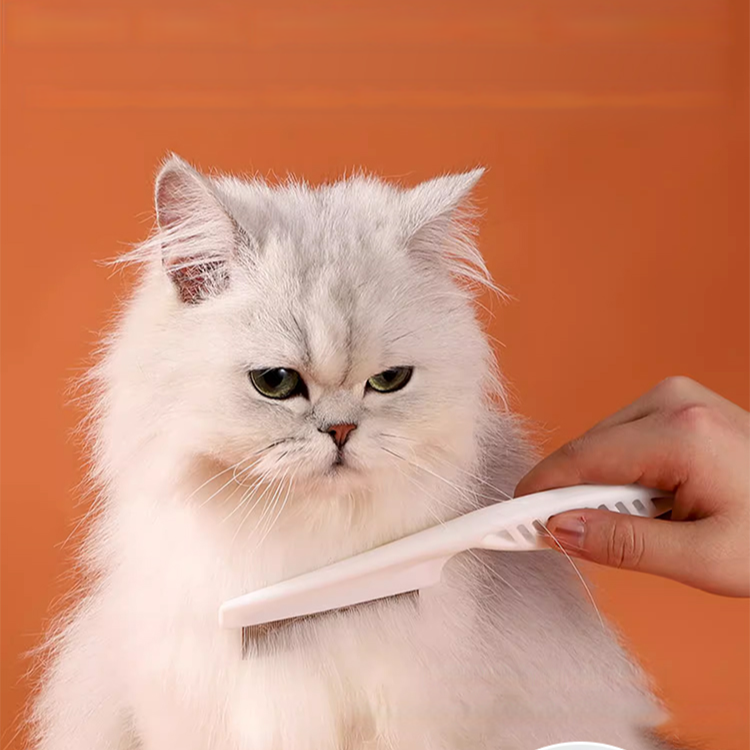 Großer Kamm für Haustiere