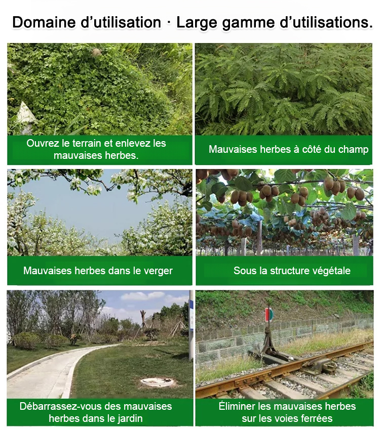 Les nutriments de la Terre