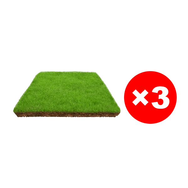 Gazon Royal 4S® | Persistant • Sans tonte • Résistant à la sécheresse et au froid