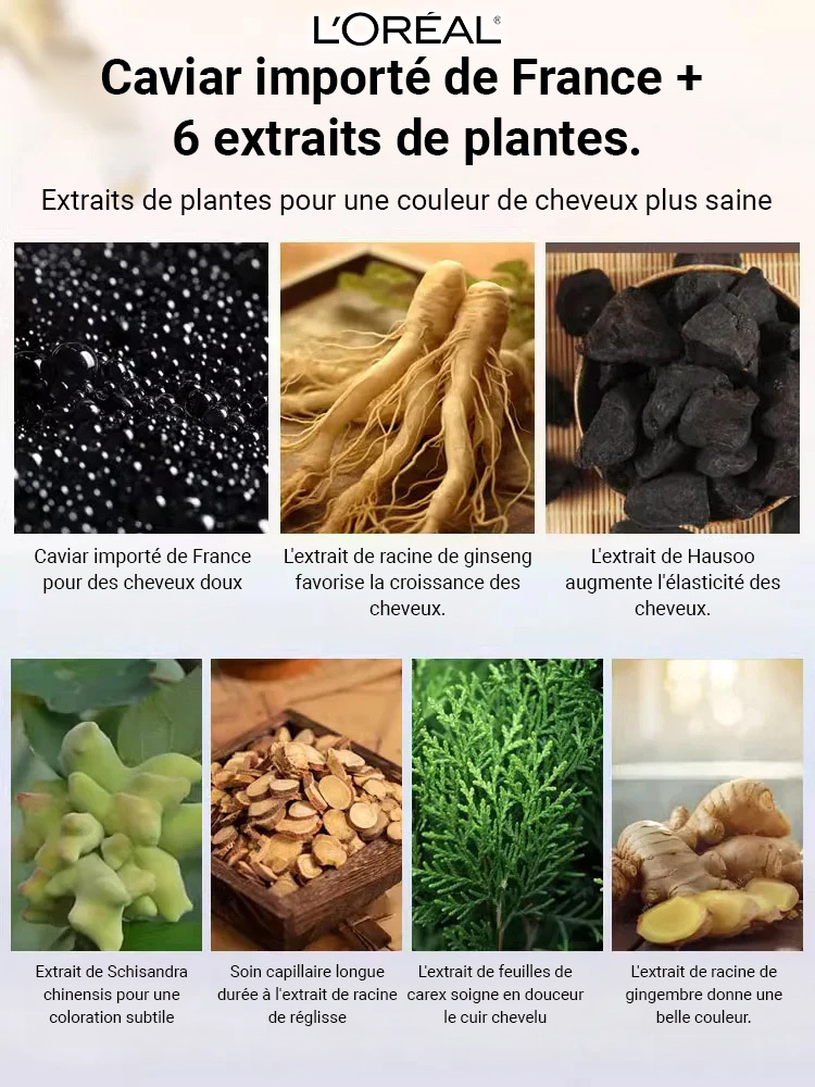 Coloration capillaire protéinée au caviar Zhi Huashi