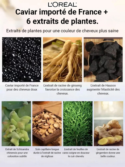 Coloration capillaire protéinée au caviar Zhi Huashi