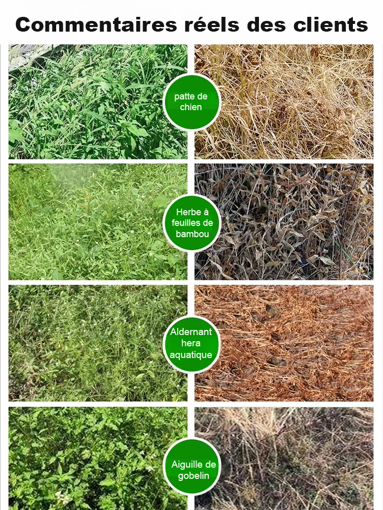 Terre agent nutritif avancé