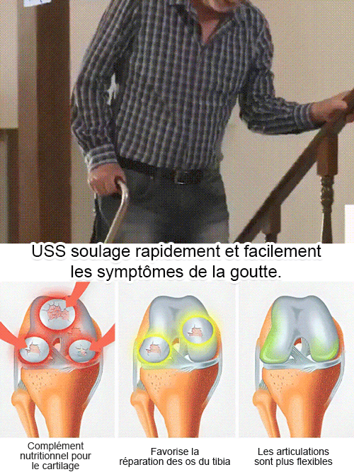 【On peut porter des fruits.】Grand plant de cerisier