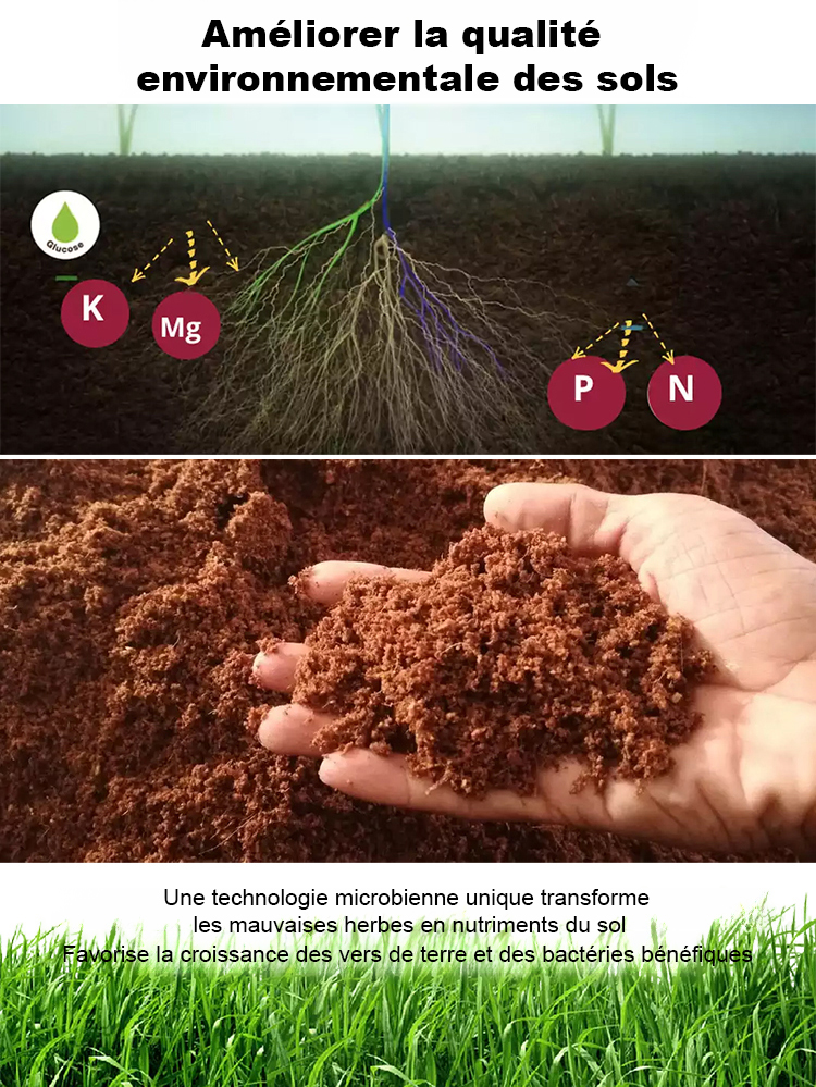 Terre agent nutritif avancé