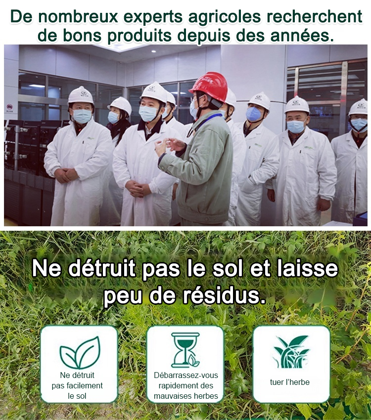 Les nutriments de la Terre