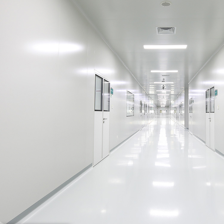 Peinture imperméabilisante 5 en 1 sans formaldéhyde à séchage rapide en 2 heures