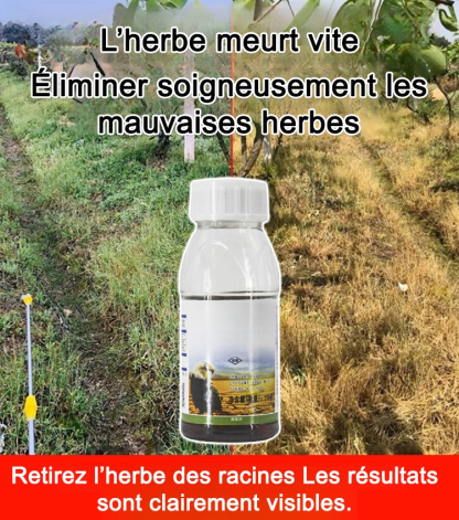 Les nutriments de la Terre
