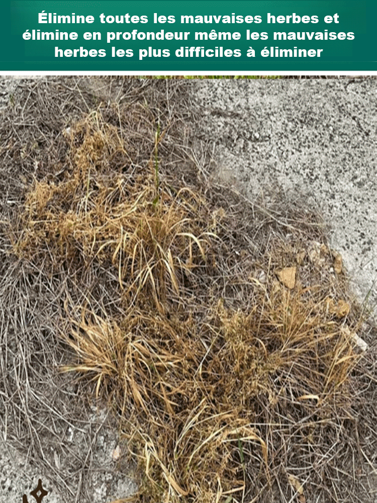 Terre agent nutritif avancé