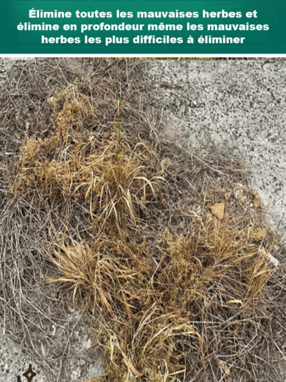 Terre agent nutritif avancé