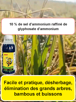 Herbicide pour racines mortes et racines pourries