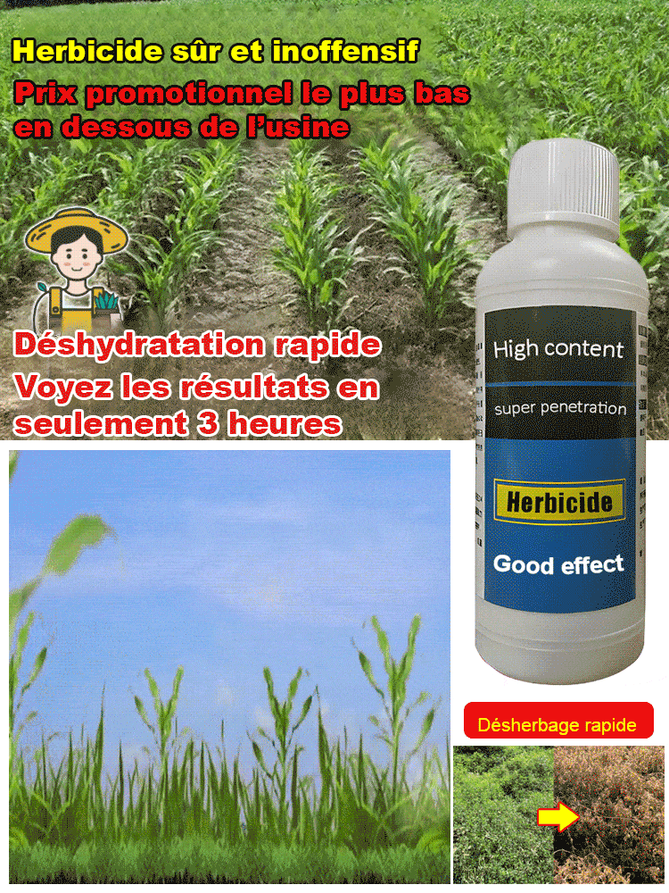 Terre agent nutritif avancé