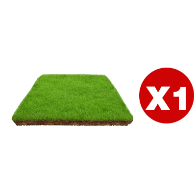 Rasensamen keimen in 7 Tagen