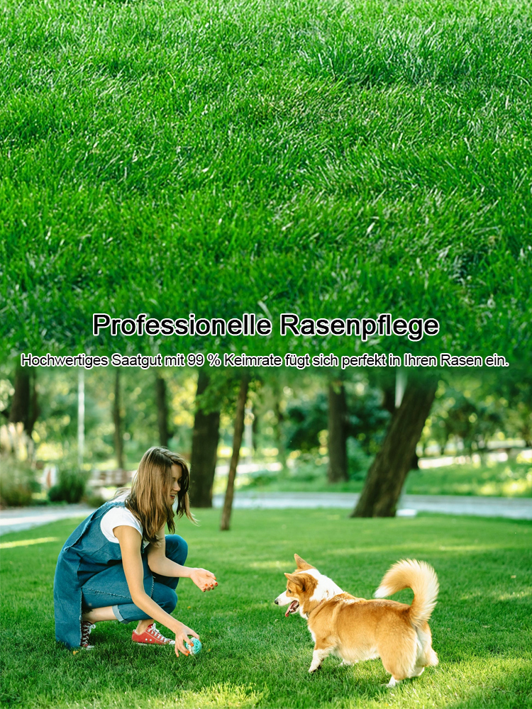 Rasensamen für ganzjährig grünen Rasen in nur 7 Tagen