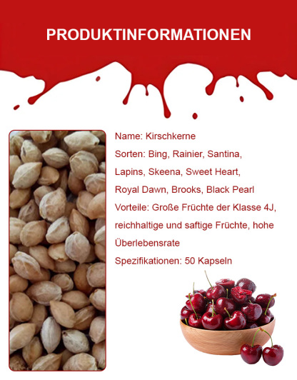 Vielseitige Kirschkerne mit hoher Überlebensrate