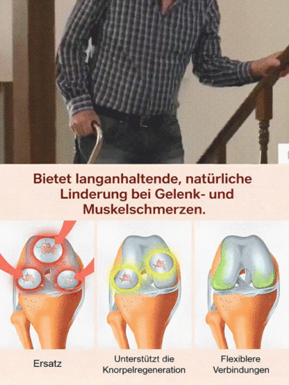 Veredelte Premium-Säulenkirsche–Erntebereit ab Mai | Winterhart & Selbstfruchtend！