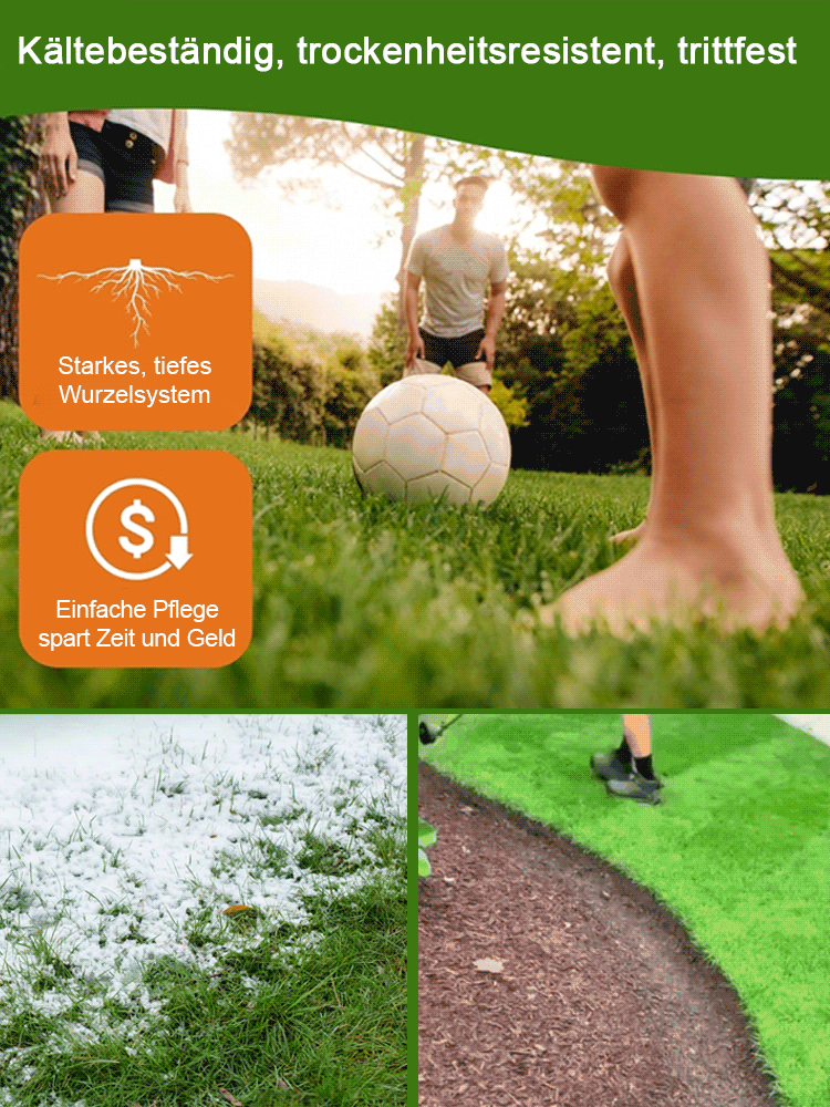 Rasensamen für ganzjährig grünen Rasen in nur 7 Tagen