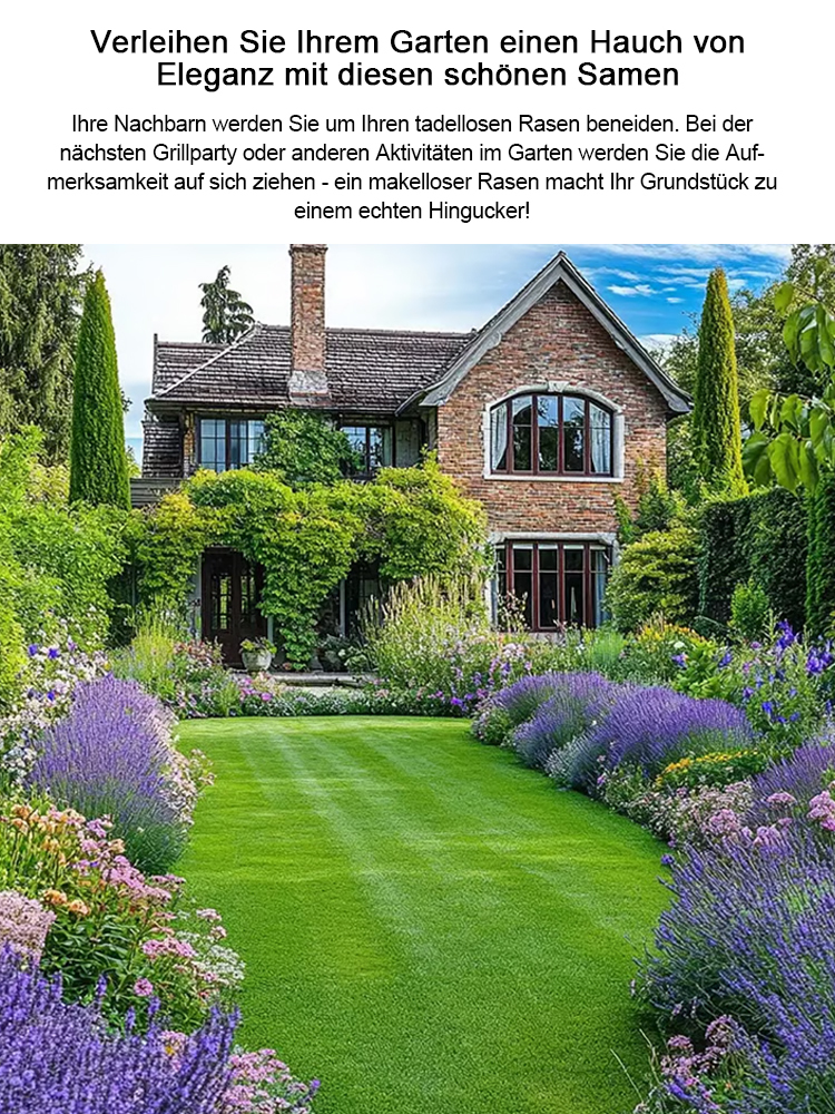 Rasensamen für ganzjährig grünen Rasen in nur 7 Tagen