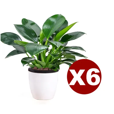 Nach Bestellmenge bestellen