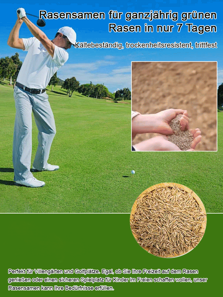 Rasensamen für ganzjährig grünen Rasen in nur 7 Tagen