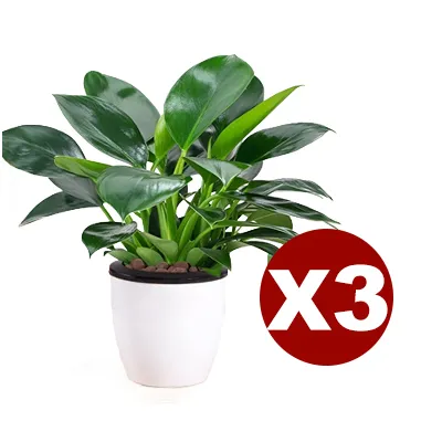 Nach Bestellmenge bestellen