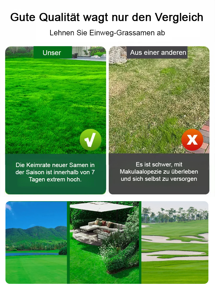Rasensamen für ganzjährig grünen Rasen in nur 7 Tagen