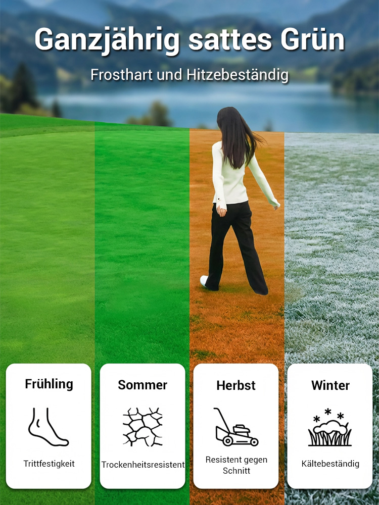 Rasensamen keimen in 7 Tagen