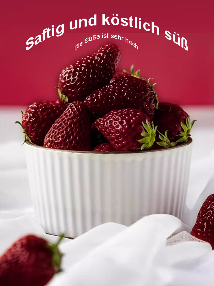 【Keimung garantiert, Dünger inklusive】Schwarze Perle Erdbeersamen