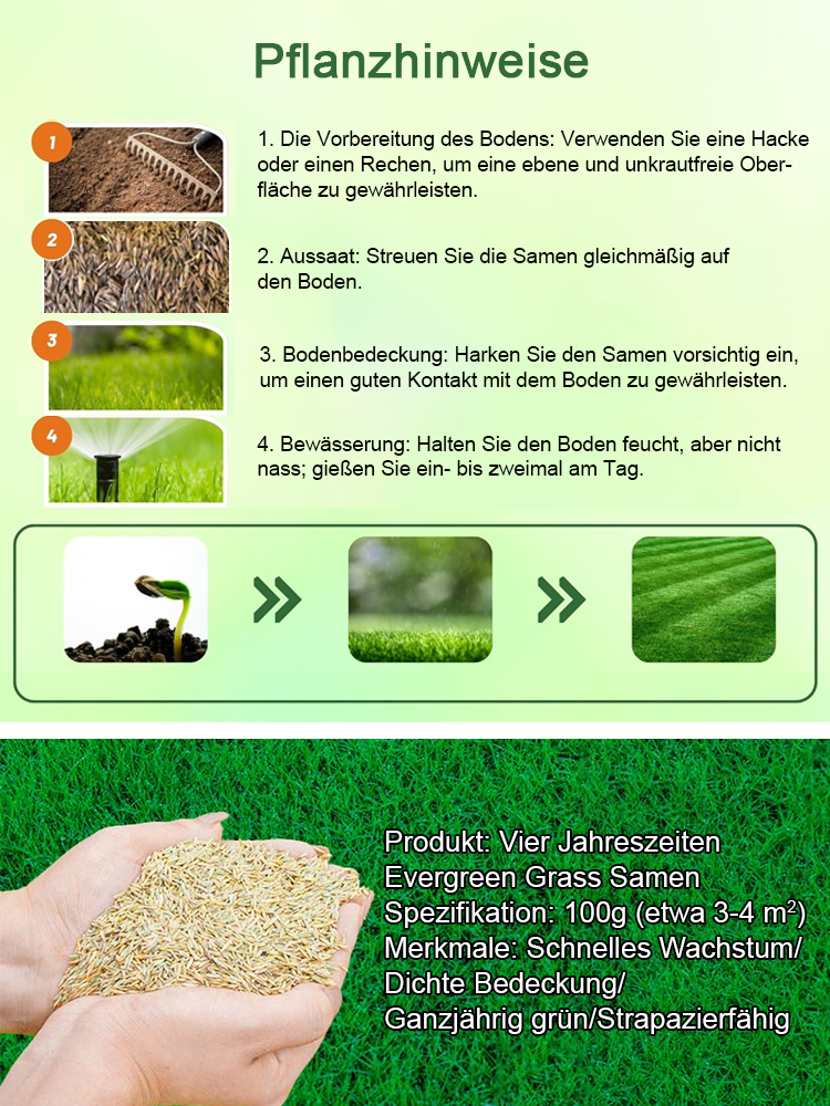 Rasensamen für ganzjährig grünen Rasen in nur 7 Tagen