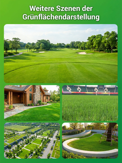 Rasensamen keimen in 7 Tagen