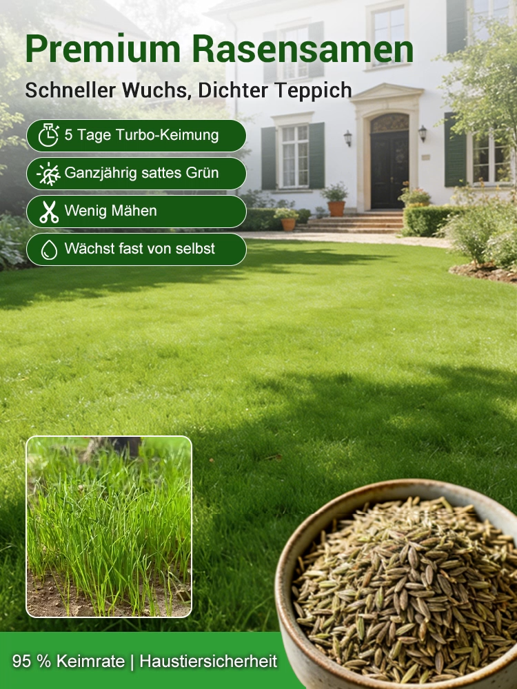 Rasensamen keimen in 7 Tagen